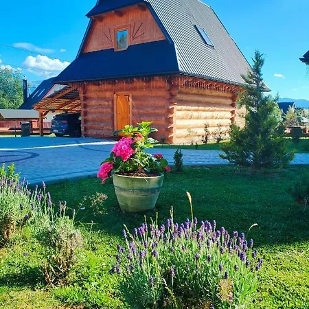 W Zebie Z Jacuzzi W Cenie