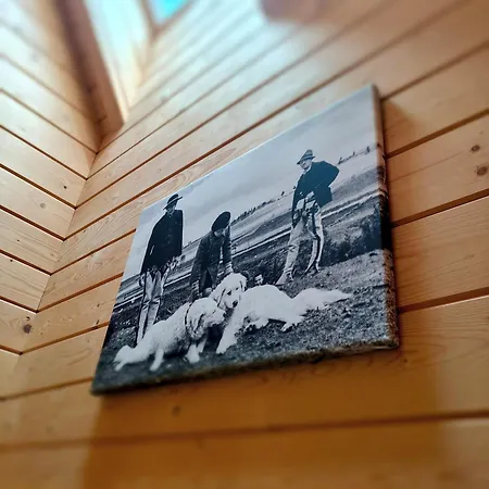 W Zebie Z Jacuzzi W Cenie